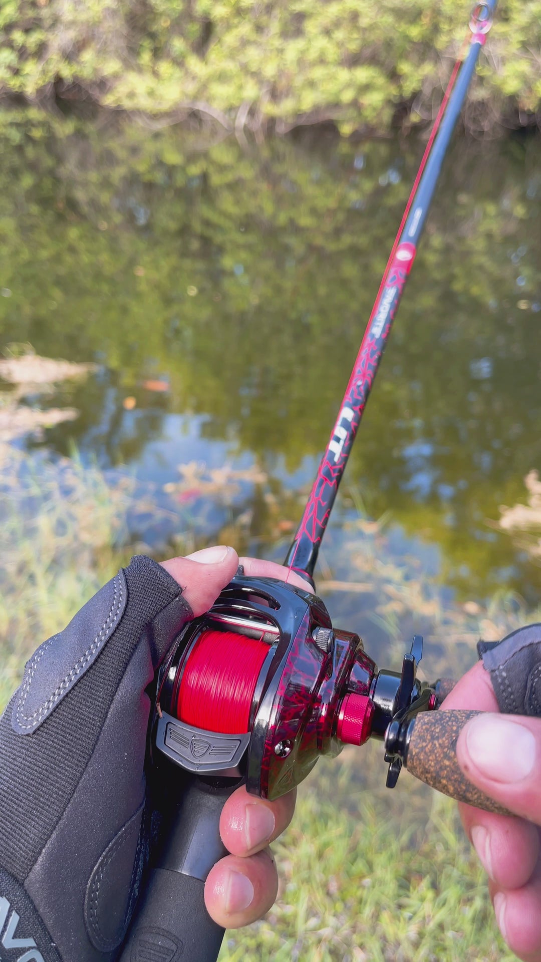 favorite fishing rod and reel Lit Casting Combo
