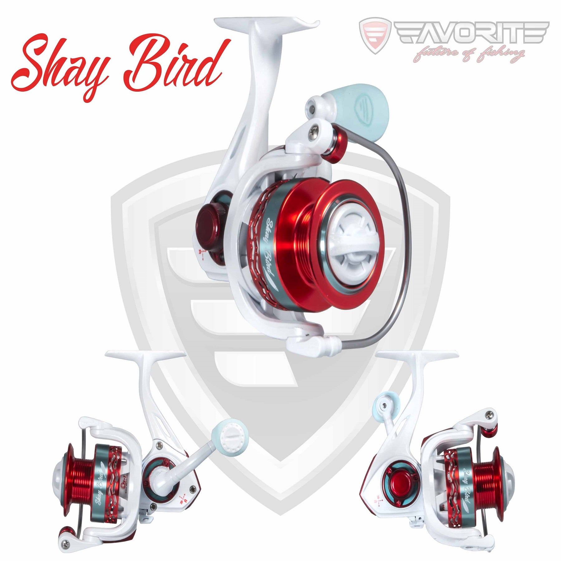 favorite fishing shay bird spinning combo Shay Bird Spinning Reel